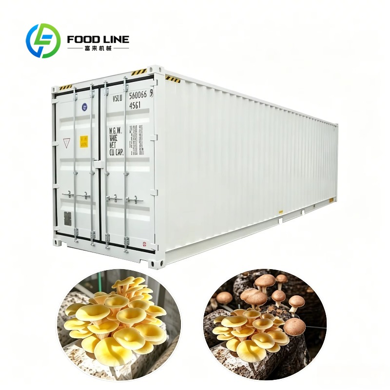 Urban Farming Hydroponics - Hydroponic Container Farm with Automated Irrigation