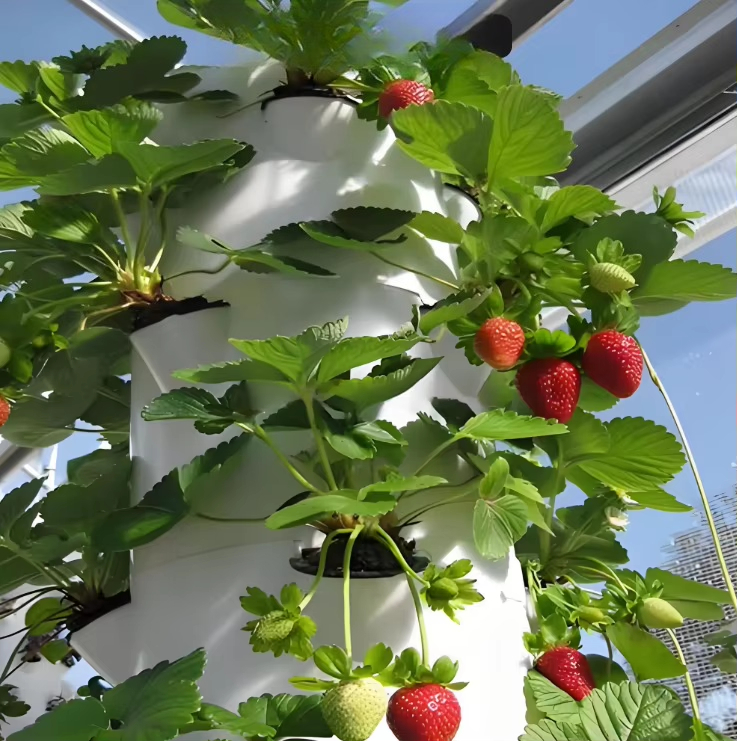 Modular hydroponic growth wall - Urban Farming Hydroponics review and price