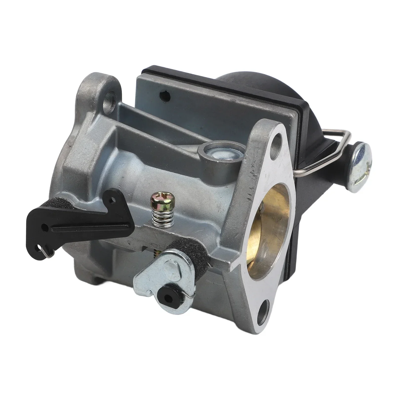 Premium Carburetor Kit for OHV - Carbon Filter Inline review and price