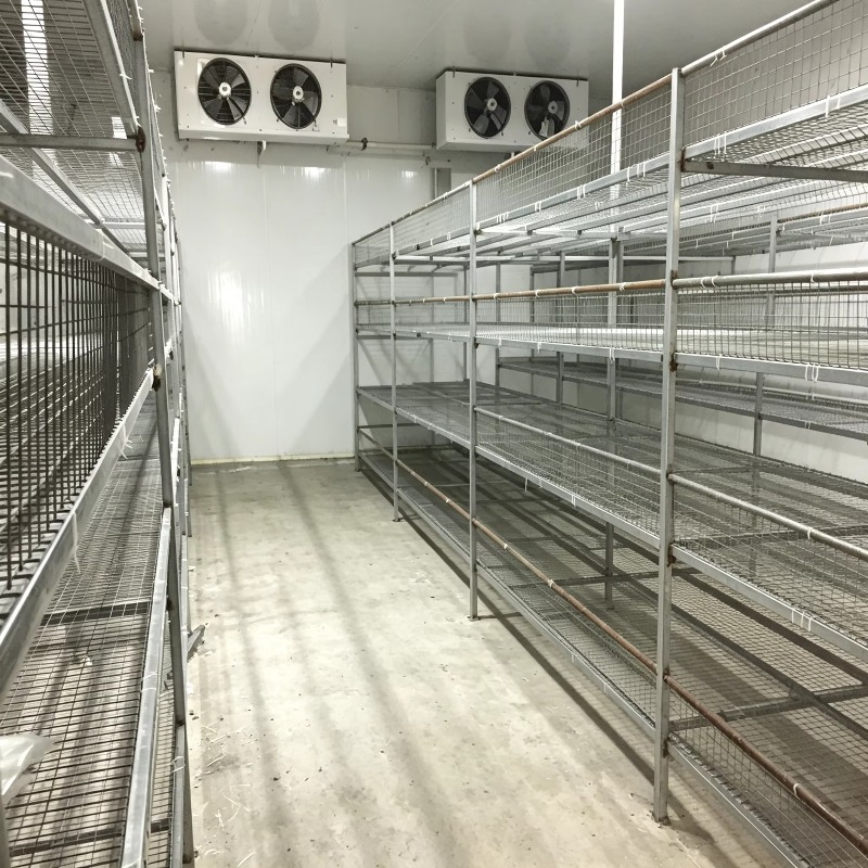 Hydroponic Container Farm with - Urban Farming Hydroponics review and price