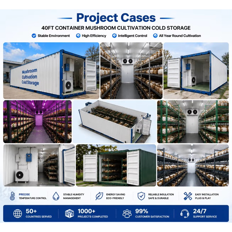 Hydroponic Container Farm with - Urban Farming Hydroponics review and price